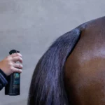BELLE 2 in 1 Biolotion Ultra HorsecarePRO