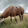 Paard jeuk eczeem