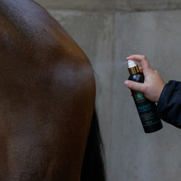 Horsecare PRO Milord