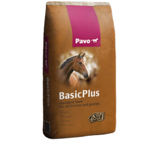 PAVO BasicPlus mijnzadelkast
