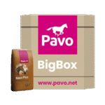 PAVO Basic Plus BigBox