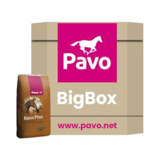 PAVO Basic Plus BigBox