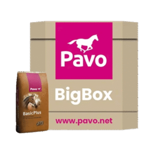 PAVO Basic Plus BigBox