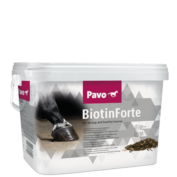 PAVO BiotinForte hoeven mijnzadelkast