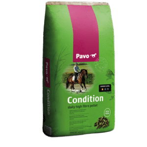 PAVO Condition mijnzadelkast