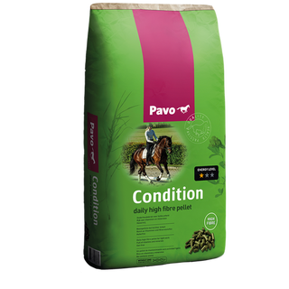 PAVO Condition mijnzadelkast
