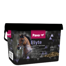 PAVO E'lyte mijnzadelkast