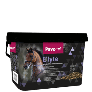 PAVO E'lyte mijnzadelkast