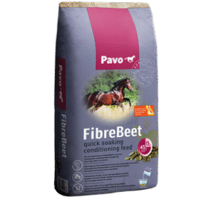 PAVO FibreBeet mijnzadelkast