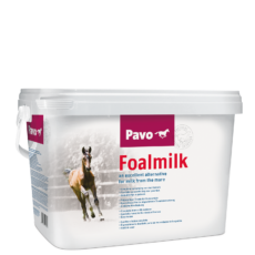 PAVO Foalmilk geboorte en veulen mijnzadelkast