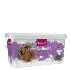 PAVO GutHealth mijnzadelkast