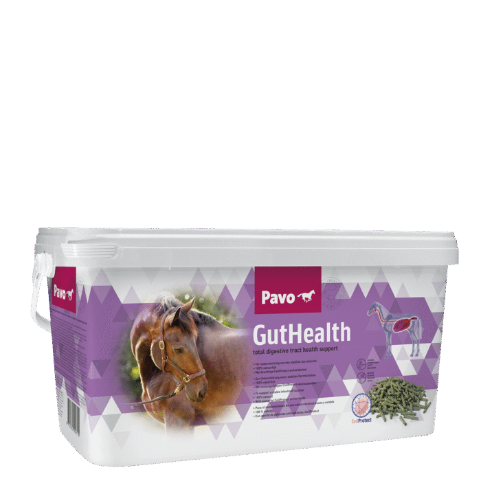 PAVO GutHealth mijnzadelkast