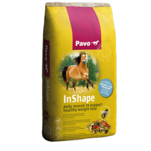 PAVO Inshape mijnzadelkast