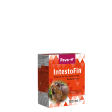 PAVO IntestfoFinmijnzadelkast