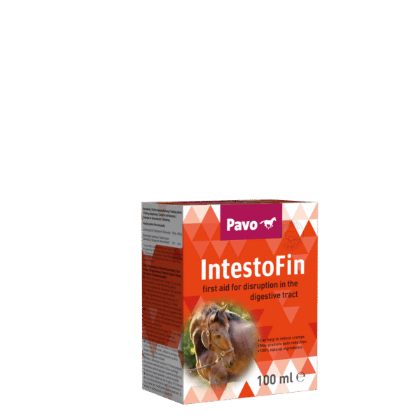 PAVO IntestfoFinmijnzadelkast