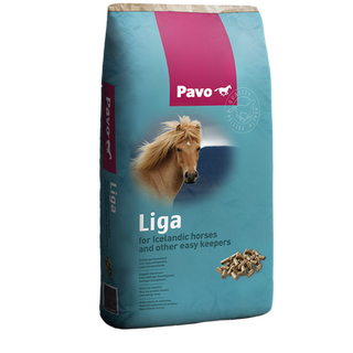 PAVO Liga mijnzadelkast