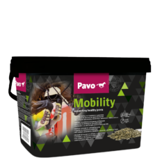 Spieren en gewrichten PAVO Mobility mijnzadelkast