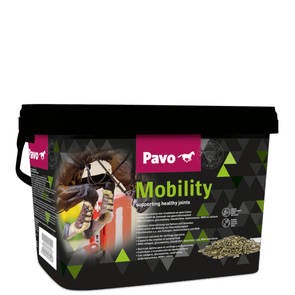 Spieren en gewrichten PAVO Mobility mijnzadelkast