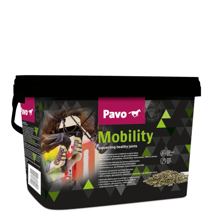 Spieren en gewrichten PAVO Mobility mijnzadelkast