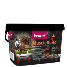 PAVO supplementen musclebuild mijnzadelkast