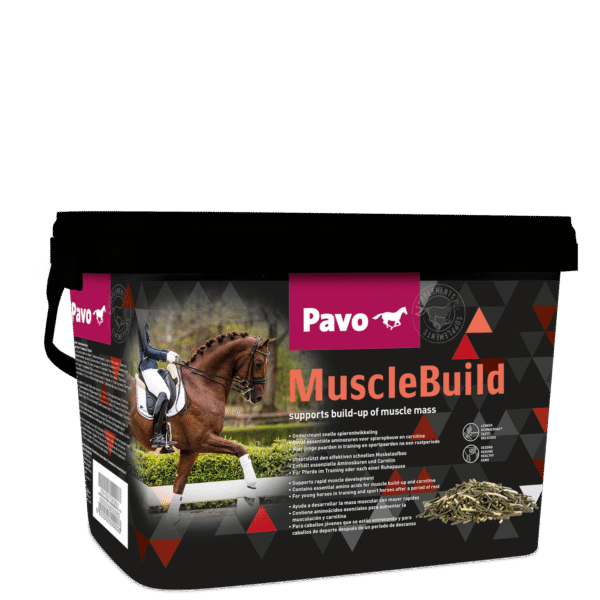 PAVO supplementen musclebuild mijnzadelkast