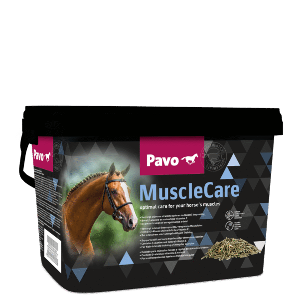 Musclecare PAVO mijnzadelkast