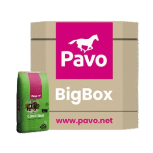 PAVO Condition mijnzadelkast BigBox