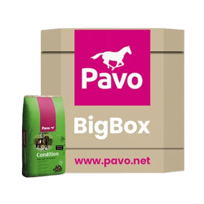 PAVO Condition mijnzadelkast BigBox