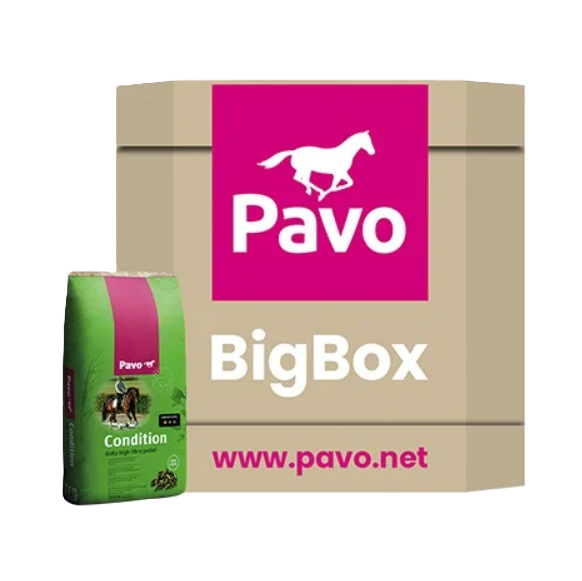 PAVO Condition mijnzadelkast BigBox