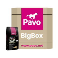 PAVO Sportsfit BigBox mijnzadelkast