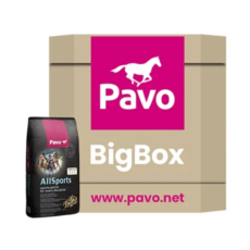 PAVO allsports mijnzadelkast bigbox