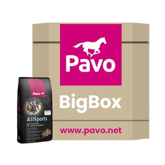 PAVO allsports mijnzadelkast bigbox