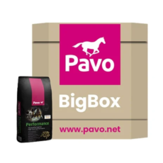 PAVO performance bigbox mijnzadelkast