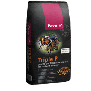 PAVO TripleP mijnzadelkast