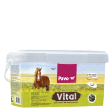 PAVO Vital balancers mijnzadelkast