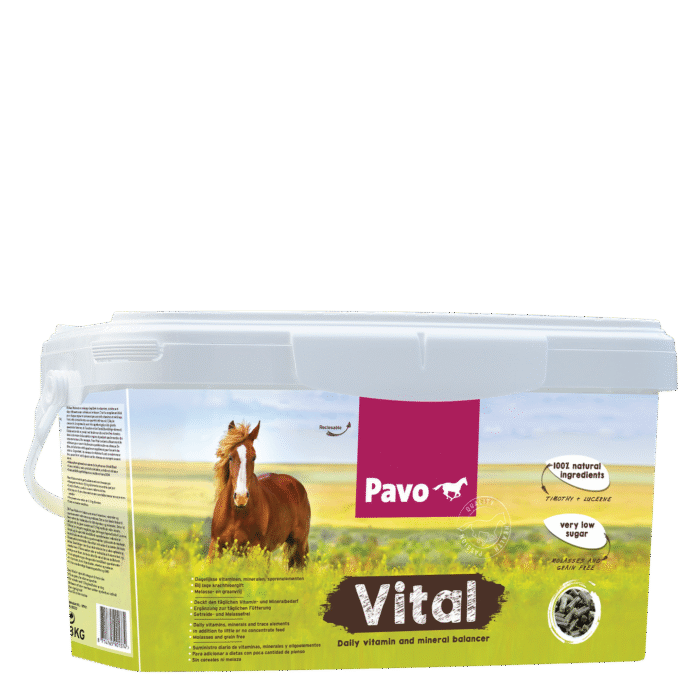 PAVO Vital balancers mijnzadelkast