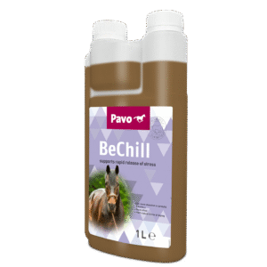 PAVO BeChill mijnzadelkast