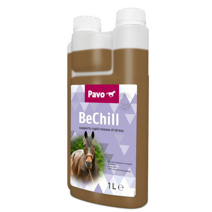 PAVO BeChill mijnzadelkast