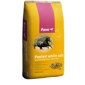 PAVO white_oats mijnzadelkast
