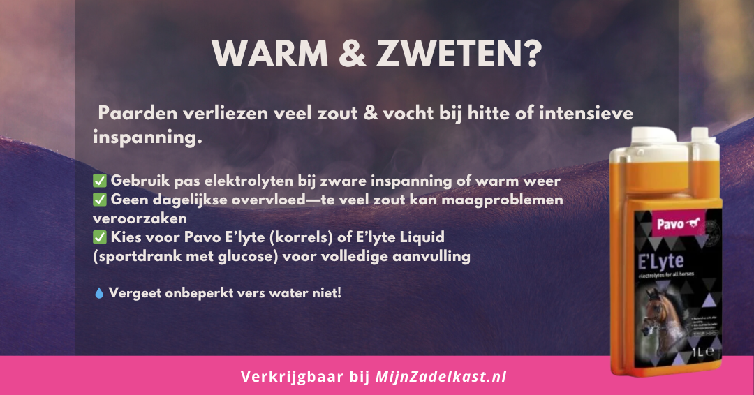 Elektrolyten voor paarden: wanneer, waarom en welke kiezen? MijnZadelkast PAVO